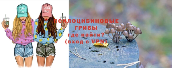 соль ск Балахна